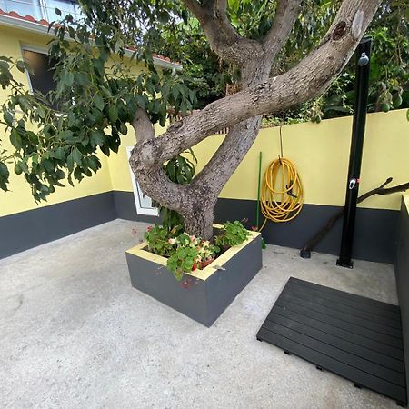 Quintinha Dos Reis Villa Funchal  Exterior foto