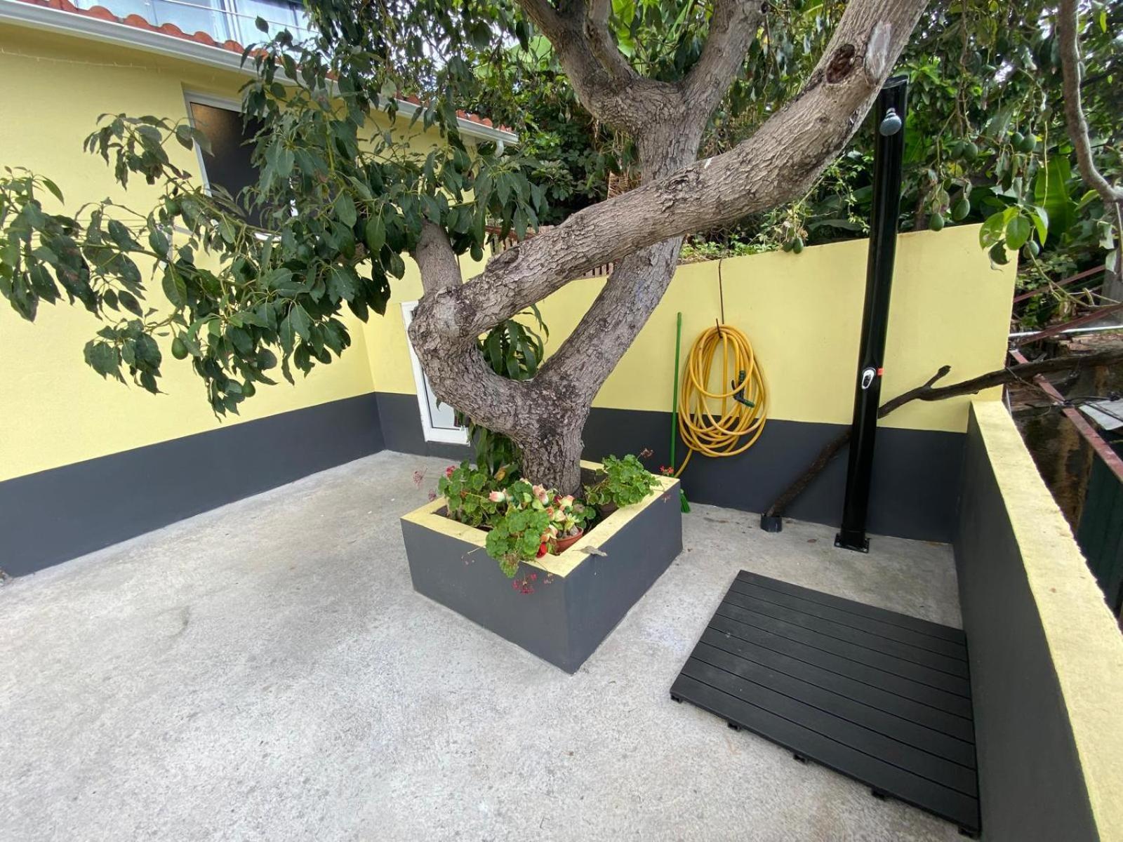 Quintinha Dos Reis Villa Funchal  Exterior foto